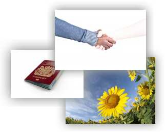 å¥å±ã¹ããã5